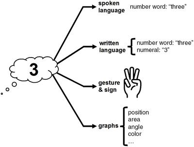 Multimodality matters in numerical communication